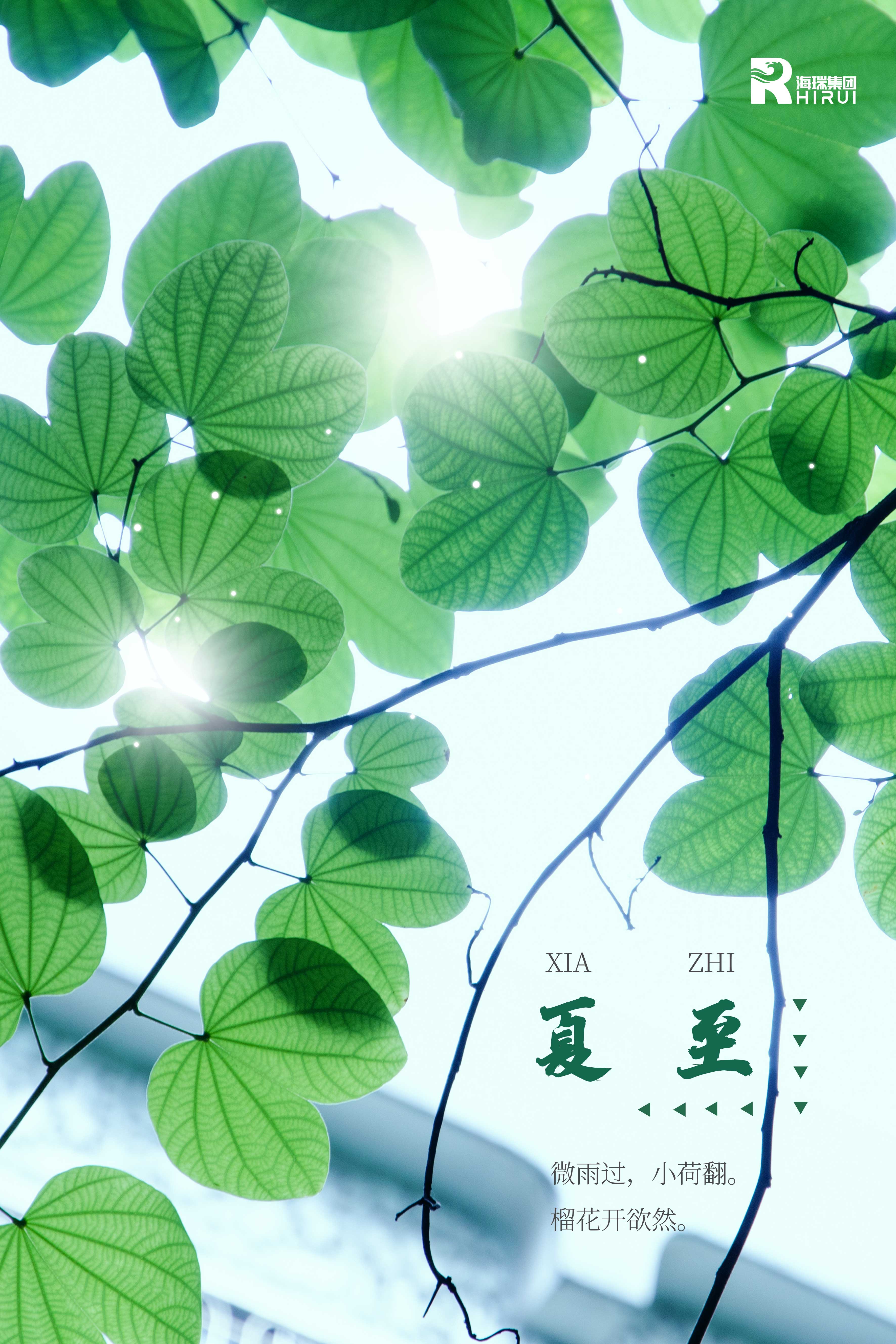 夏至已至，盛夏已至